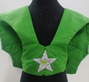 Kids Costumes to Hire - Green Bib - STAR 